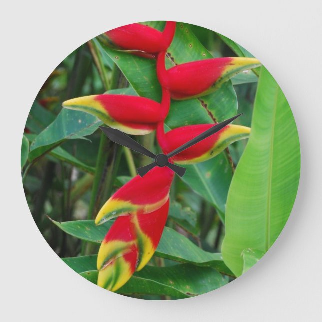 Reloj Redondo Grande Heliconia (Anverso)