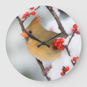 Reloj Redondo Grande Hembra cardinal septentrional en Winterberry común
