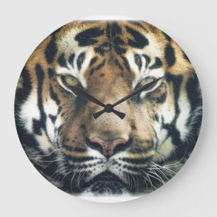 Reloj Redondo Grande Hermosa foto del rostro del tigre de Bengala