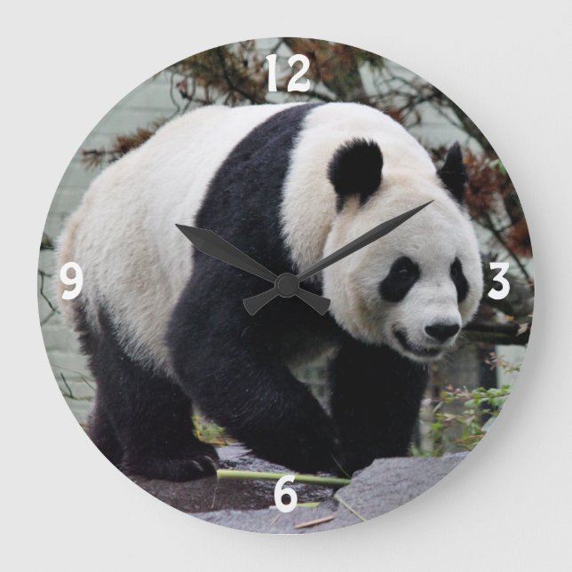 Reloj Redondo Grande Hermosa Gigante Panda (Anverso)