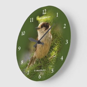 Reloj Redondo Grande Hermoso arrendajo gris Whiskeyjack pájaro cantor e