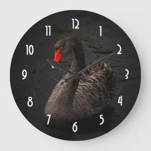 Reloj Redondo Grande Hermoso cisne negro con un brillante pico rojo