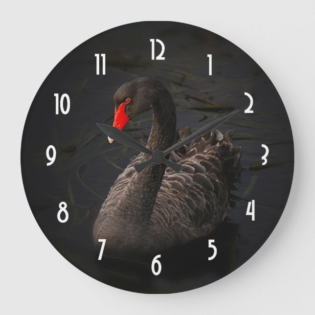 Reloj Redondo Grande Hermoso cisne negro con un brillante pico rojo (Anverso)