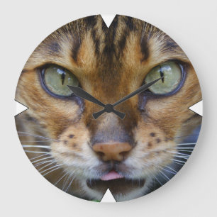 Reloj Redondo Grande Hermoso gato bengalí