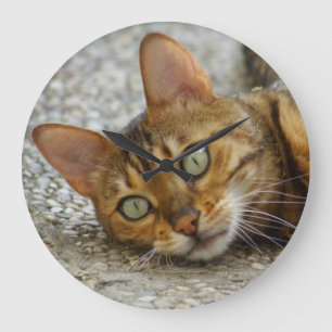 Reloj Redondo Grande Hermoso gato bengalí