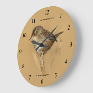 Reloj Redondo Grande Hermoso pájarito cantor de carrizo en rama