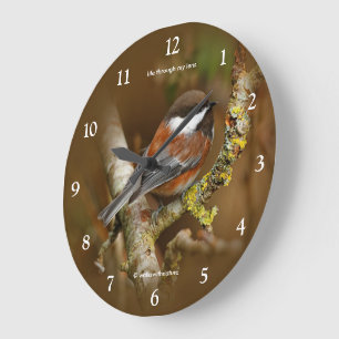 Reloj Redondo Grande Hermoso pájarito carbonero de dorso castaño en árb