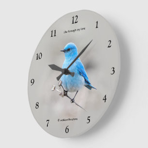 Reloj Redondo Grande Hermoso pájaro cantor Azulejo de Montaña sobre Tan