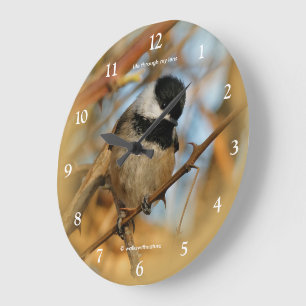 Reloj Redondo Grande Hermoso Pájaro Cantor Esperanzador de Copete Negro