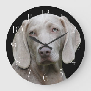 Reloj Redondo Grande Hermoso Perro de caza de Weimaraner