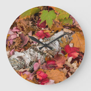 Reloj Redondo Grande Hojas de arce de otoño cubren corteza de abedul en