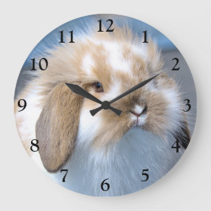 Reloj Redondo Grande Holland Mini Conejo conejito enano