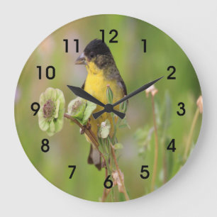 Reloj Redondo Grande Hombre Goldfinch encaramado en flores
