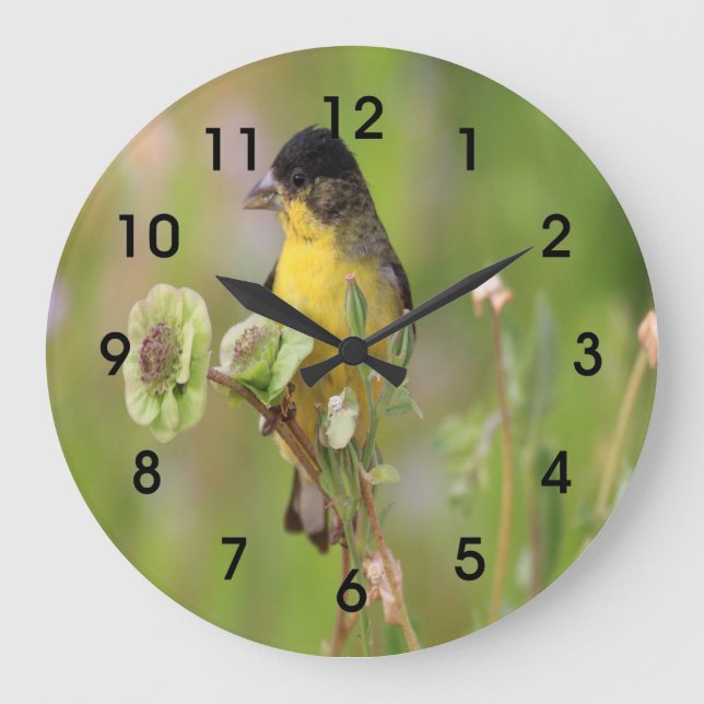 Reloj Redondo Grande Hombre Goldfinch encaramado en flores (Anverso)