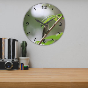 Reloj Redondo Grande Hummingbird (El Vigilante) con trompeta femenina