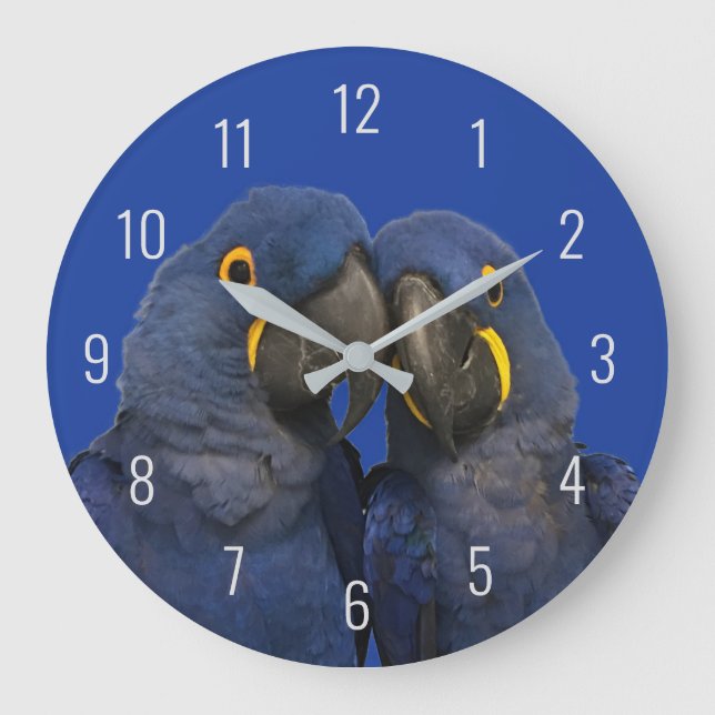 Reloj Redondo Grande Hyacinin Macaw Parrot Bird Rare Blue (Anverso)