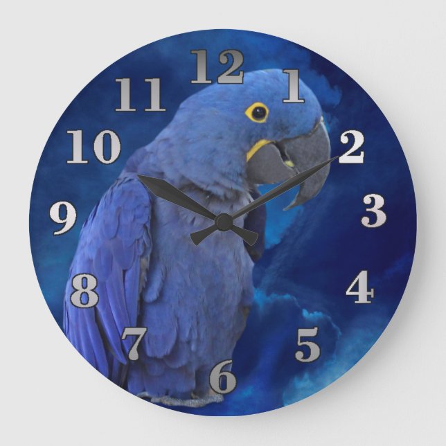 Reloj Redondo Grande Hyacinth Macaw (Anverso)