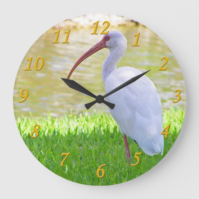 Reloj Redondo Grande Ibis En Una Foto De Pierna (Anverso)