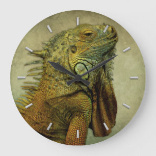 Reloj Redondo Grande Iguana verde