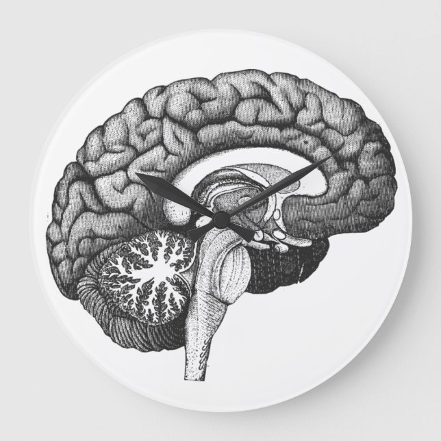 Reloj Redondo Grande Ilustracion de anatomía médica ventilado cerebro h (Anverso)