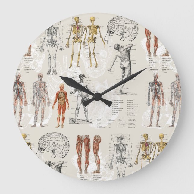 Reloj Redondo Grande Ilustraciones de la biología de la anatomía veneci (Anverso)