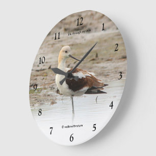 Reloj Redondo Grande Impresionante ave americano aguacate Wading en la