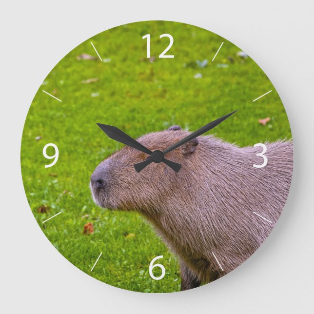 Reloj Redondo Grande Increíble Animal Carpincho (Anverso)