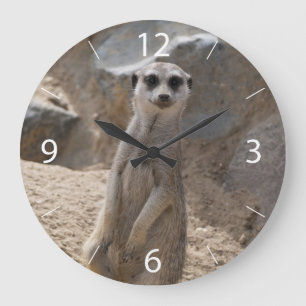 Reloj Redondo Grande Increíble suricata