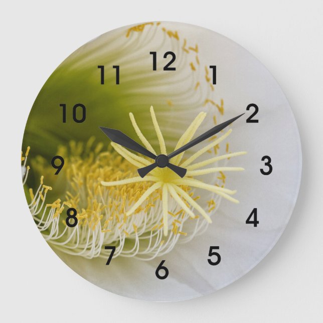 Reloj Redondo Grande Interior de un cactus blanco en flor (Anverso)