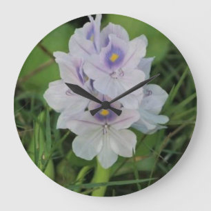 Reloj Redondo Grande Jacinto de Agua en Flor - Flor Acuática Tropical