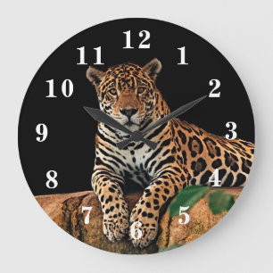 Reloj Redondo Grande Jaguar