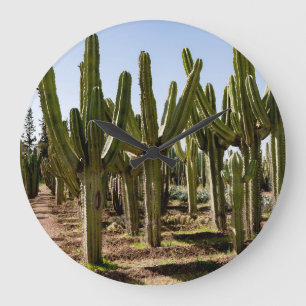 Reloj Redondo Grande Jardín Cacti, paisaje tropical del desierto.