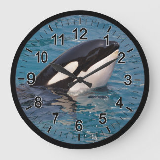 Reloj Redondo Grande Jefe de la ballena asesina