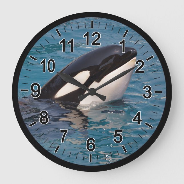 Reloj Redondo Grande Jefe de la ballena asesina (Anverso)