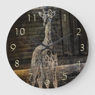 Reloj Redondo Grande Jirafa del bebé