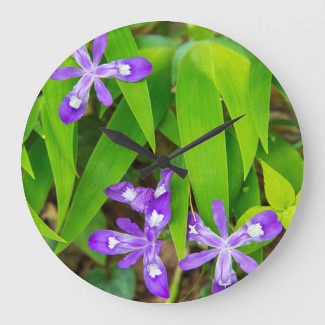 Reloj Redondo Grande Joyce Kilmer-Slickrock Wilderness 2 (Anverso)