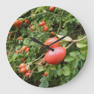 Reloj Redondo Grande Juicy Red Rose Hips Wall Clock