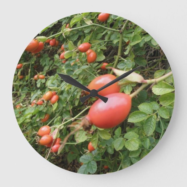 Reloj Redondo Grande Juicy Red Rose Hips Wall Clock (Anverso)