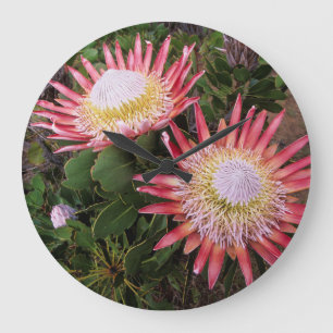 Reloj Redondo Grande King Protea (Protea Cynaroides), Helderberg
