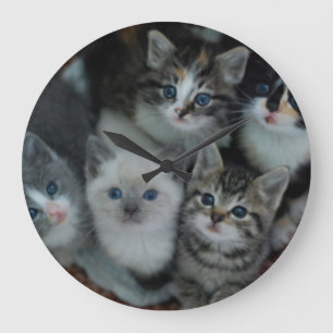 Reloj Redondo Grande Kittens In A Basket