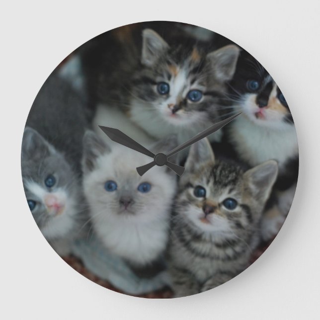 Reloj Redondo Grande Kittens In A Basket (Anverso)