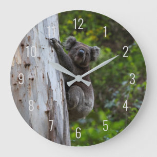 Reloj Redondo Grande Koala aburre animal en un árbol Australia