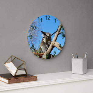 Reloj Redondo Grande Koala Tiene Tiempo Para Reflexionar Sobre La Vida,