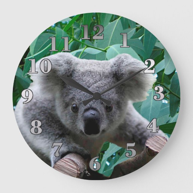 Reloj Redondo Grande Koala y eucalipto (Anverso)