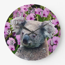Koala y Orquídeas