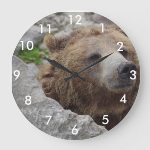 Reloj Redondo Grande Kodiak Bear