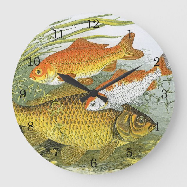 Reloj Redondo Grande Koi Fish, pez dorado, vida marina acuática (Anverso)