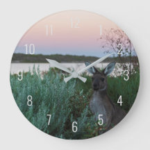 La colorida fauna canguro Sunset Australia