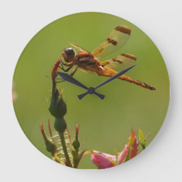 Reloj Redondo Grande La libélula dorada en verde