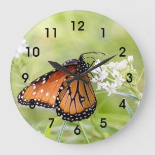 Reloj Redondo Grande La mariposa reina al sol en Milkweed